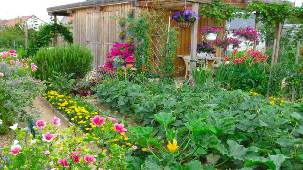 Jardiner en ville. des fleurs et des légumes dans les parcelles.