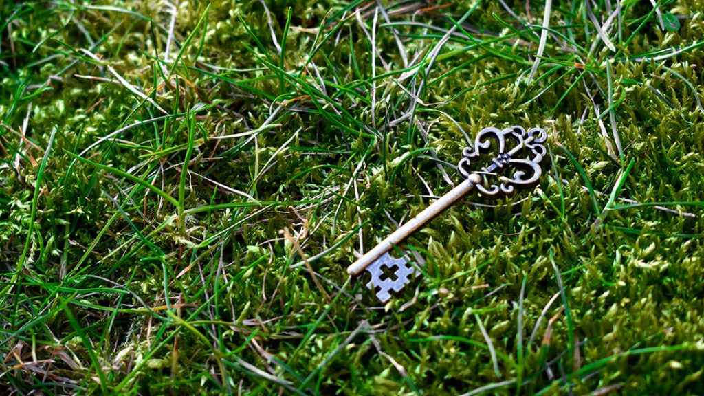 Clé perdue dans l'herbe