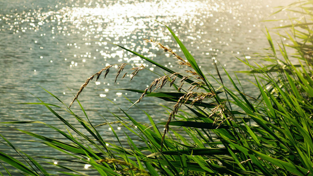 Que d'eau !