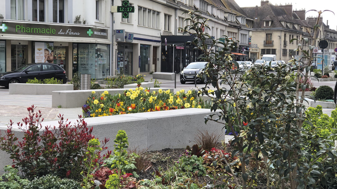 Massif de fleurs en centre ville