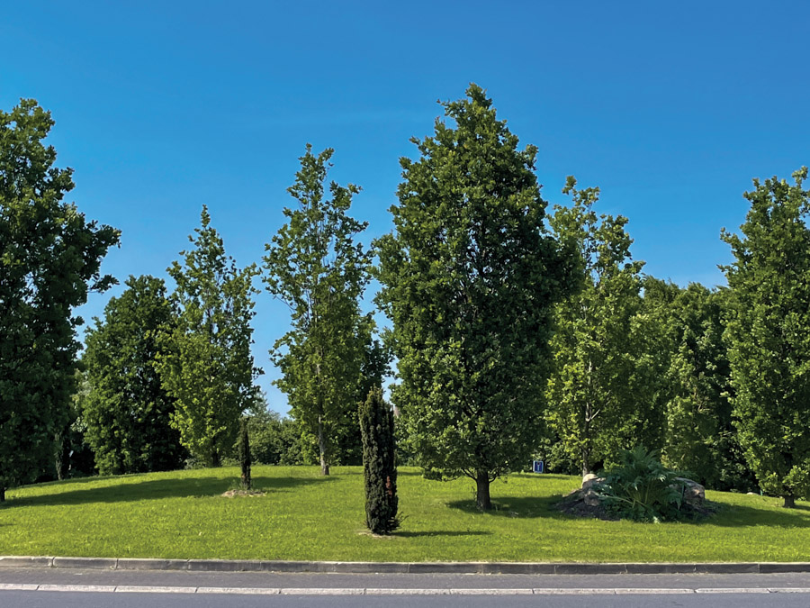 Verdissement des ronds-points du Becquet et de Folleville