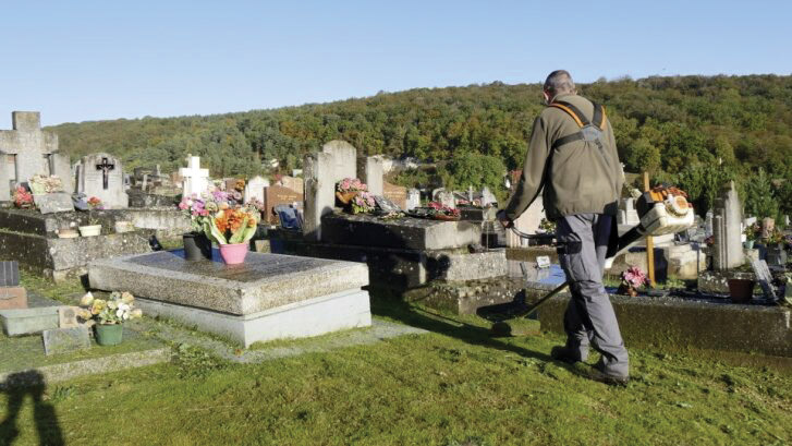 Végétalisation du cimetière