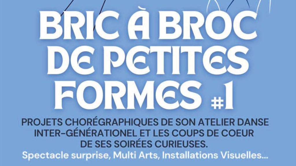 Bric à Broc au Moulin, avec Trajéd’arts
Soirée curieuse, soyez curieux !