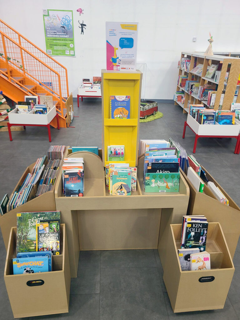 Livre du fonds jeunesse accessible DYS