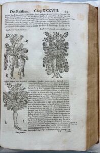 Des racines & des feuilles.
Cycle de conférences, du 28 février au 14 mars.